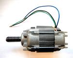 WGA05 -  elektrický motor komplet pro WINGO 4000 a WG5000